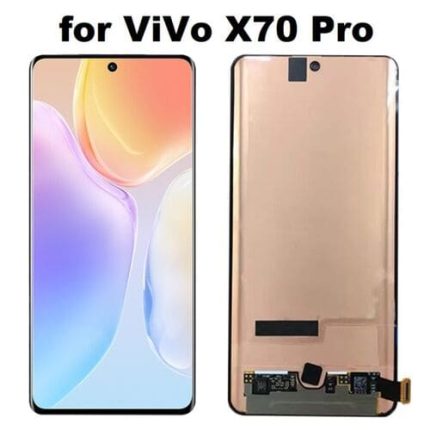 Vivo X70 Pro Display