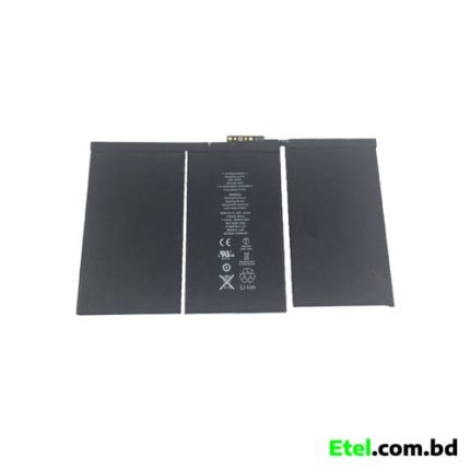 iPad 2 Battery