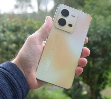 Vivo X80 Lite Battery