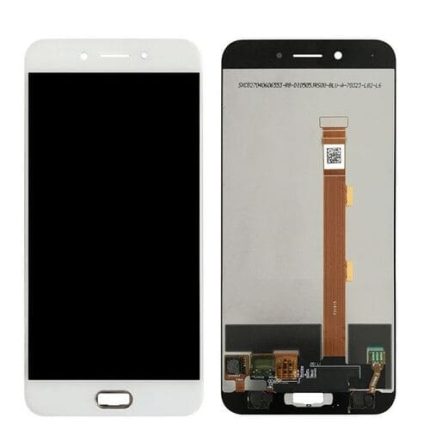Oppo A77 Display