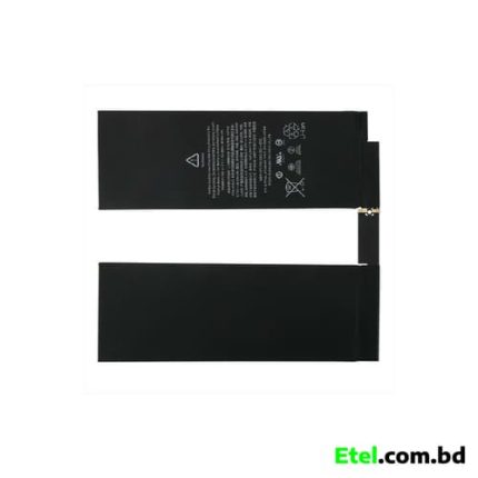 iPad Pro 10.5 Battery