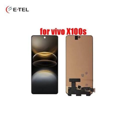 Vivo X100s Display