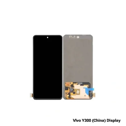 Vivo Y300 (China) Display