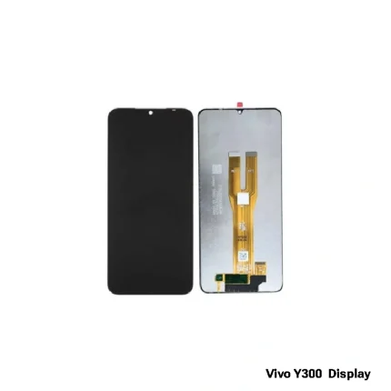 Vivo Y300 Display